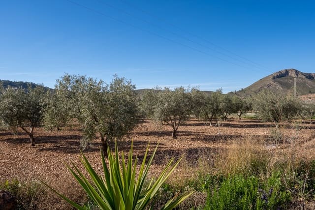 3 quarto Quinta/Casa Rural para venda em Cañada de la Lena, Abanilla com piscina - 139 950 € (Ref: 9635161)