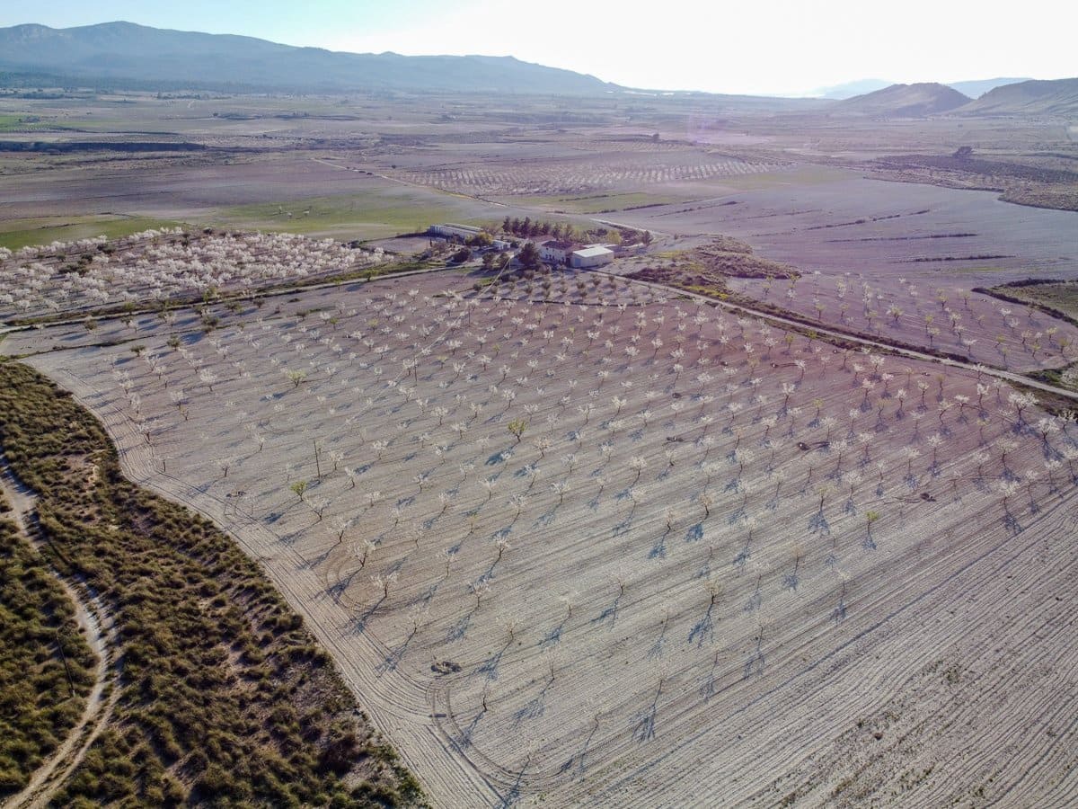 6 sypialnia Finka/Dom wiejski na sprzedaż w Jumilla z basenem - 254 900 € (Ref: 9646249)