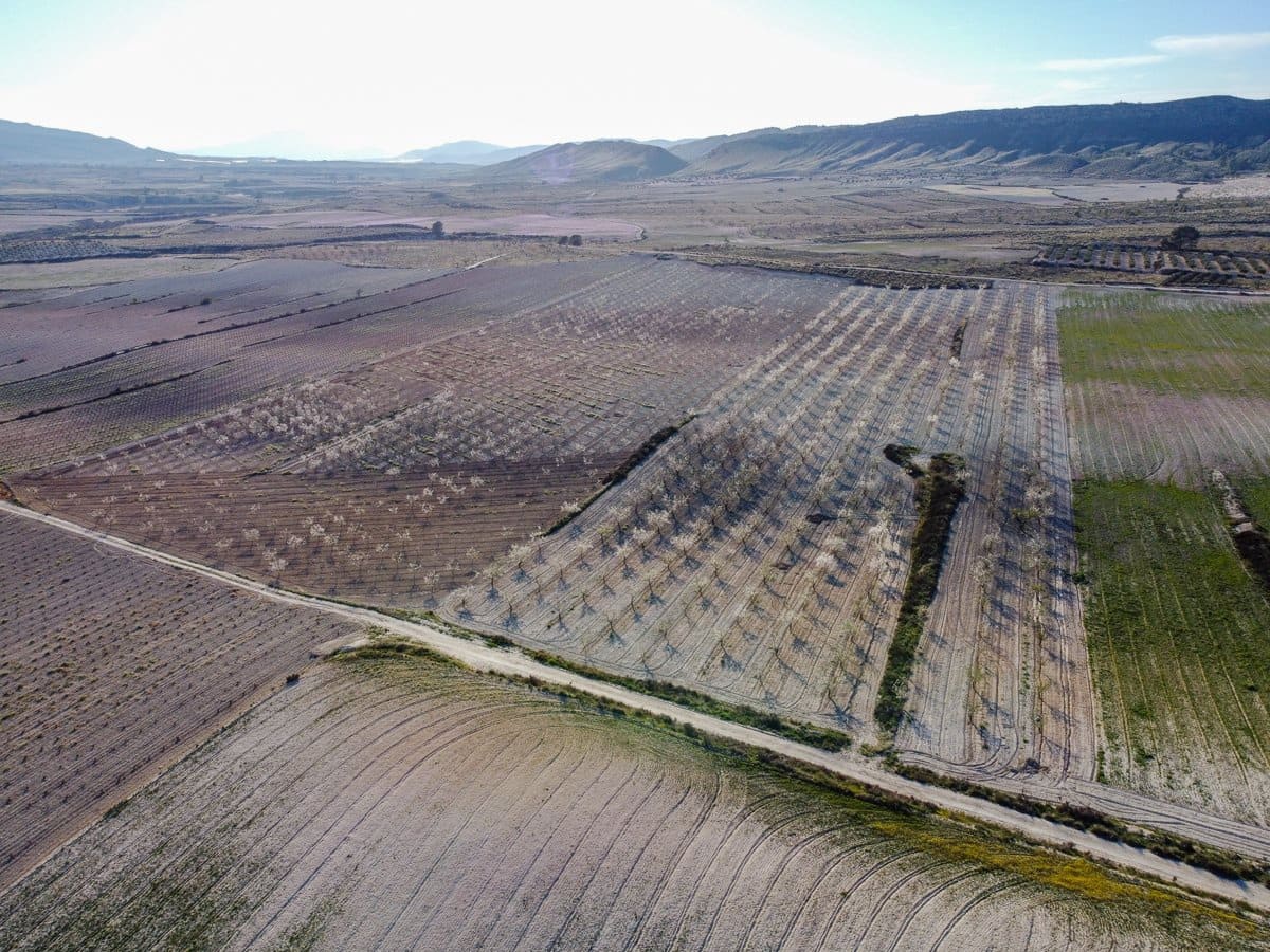 6 sypialnia Finka/Dom wiejski na sprzedaż w Jumilla z basenem - 254 900 € (Ref: 9646249)