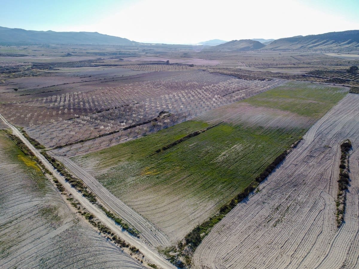 6 sypialnia Finka/Dom wiejski na sprzedaż w Jumilla z basenem - 254 900 € (Ref: 9646249)