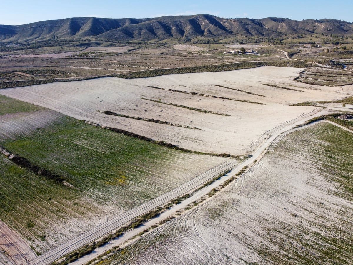 6 sypialnia Finka/Dom wiejski na sprzedaż w Jumilla z basenem - 254 900 € (Ref: 9646249)