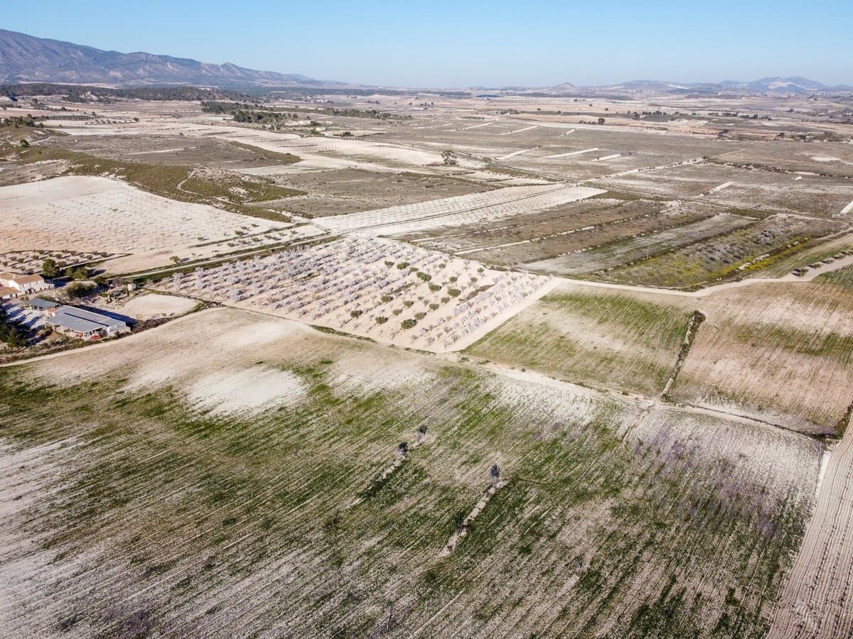 6 sypialnia Finka/Dom wiejski na sprzedaż w Jumilla z basenem - 254 900 € (Ref: 9646249)