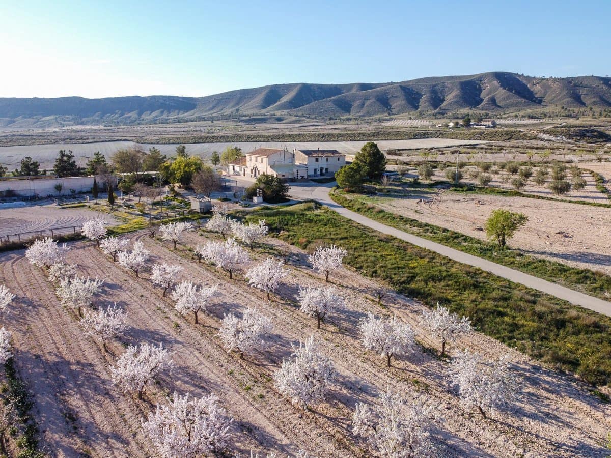 6 soverom Finca/Herregård til salgs i Jumilla med svømmebasseng - € 254 900 (Ref: 9646249)