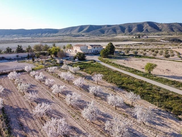 6 soveværelse Finca/Landehus til salg i Jumilla med swimmingpool - € 254.900 (Ref: 9646249)