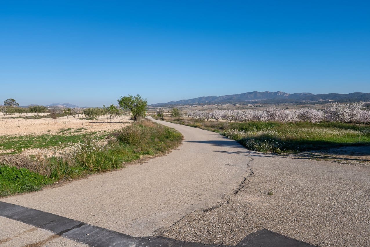 6 soverom Finca/Herregård til salgs i Jumilla med svømmebasseng - € 254 900 (Ref: 9646249)