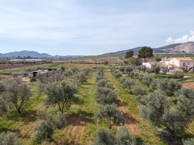 Grond te koop in Hondón de las Nieves - € 79.950 (Ref: 9687646)