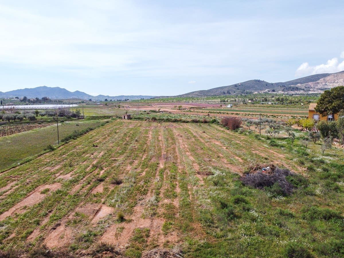 Undeveloped Land for sale in Hondon de las Nieves - € 79,950 (Ref: 9687646)