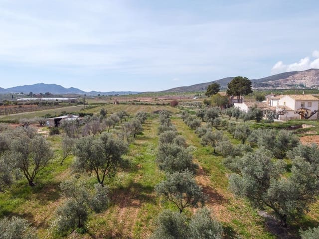 Terreno Não Urbanizado para venda em Hondón de las Nieves - 79 950 € (Ref: 9687646)