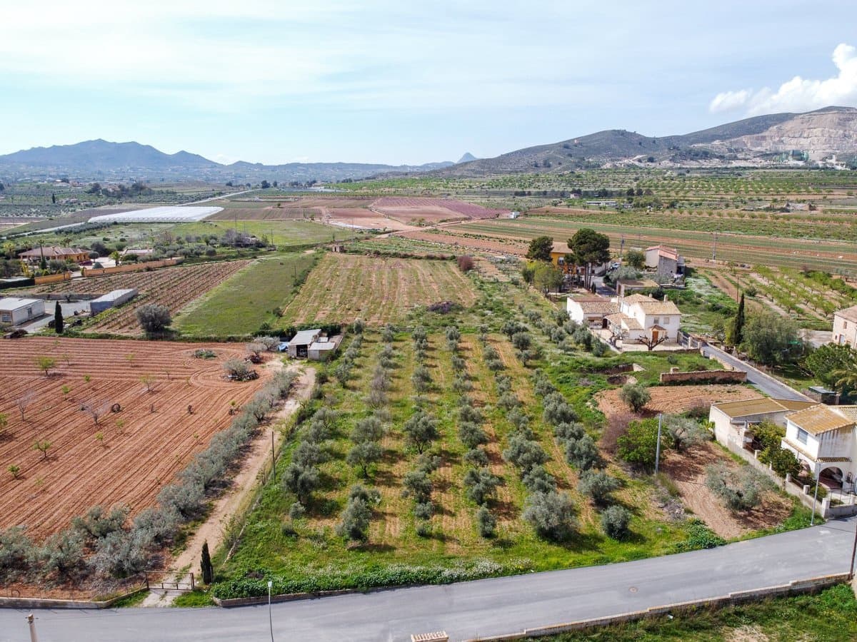Undeveloped Land for sale in Hondon de las Nieves - € 79,950 (Ref: 9687646)