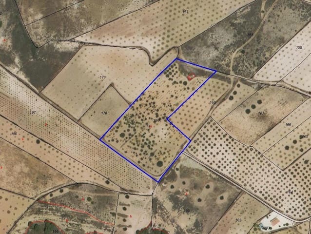 Undeveloped Land for sale in Jumilla - € 33,995 (Ref: 9688489)