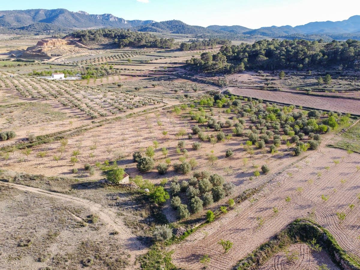 Undeveloped Land for sale in Jumilla - € 33,995 (Ref: 9688489)
