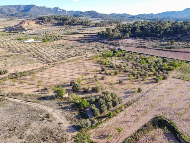 Undeveloped Land for sale in Jumilla - € 33,995 (Ref: 9688489)