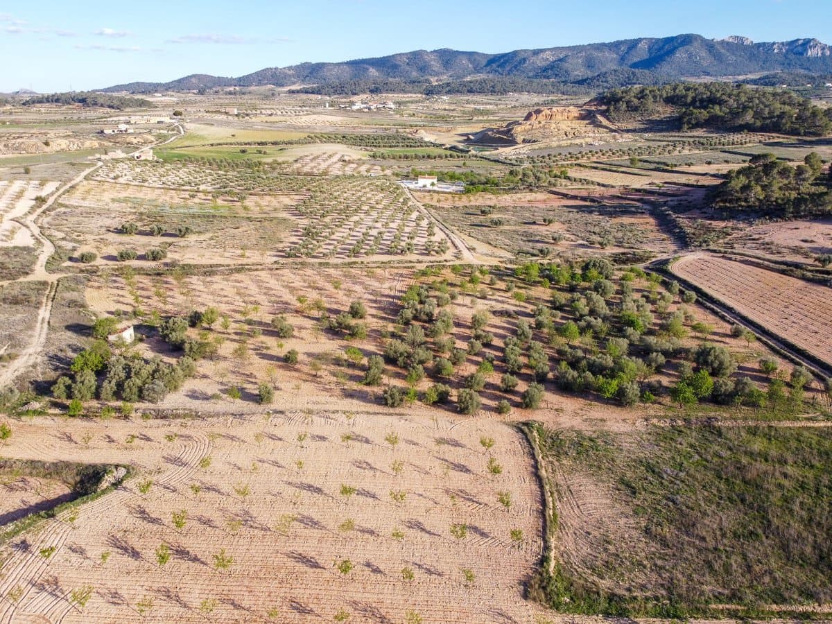 Undeveloped Land for sale in Jumilla - € 33,995 (Ref: 9688489)