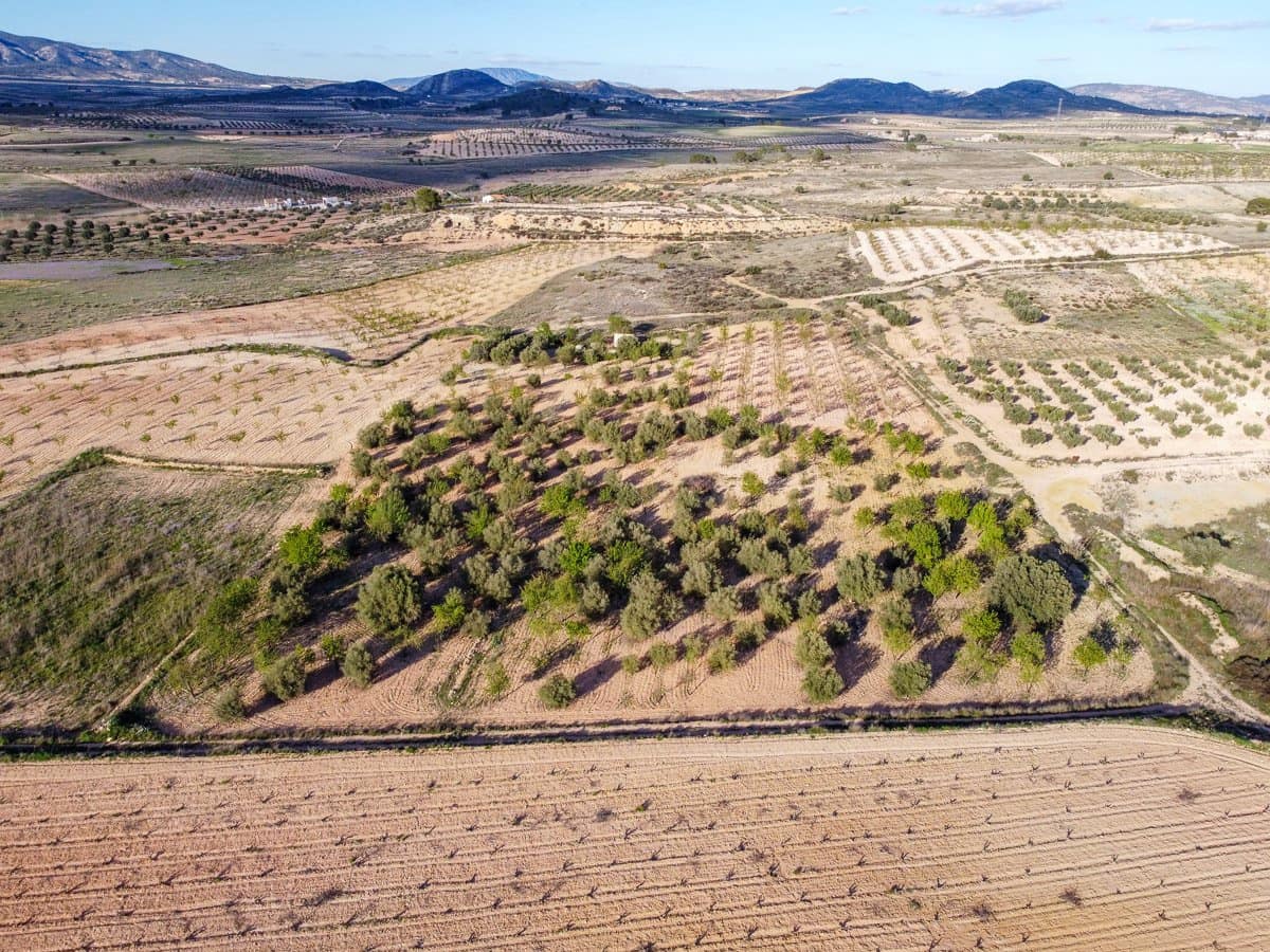 Undeveloped Land for sale in Jumilla - € 33,995 (Ref: 9688489)