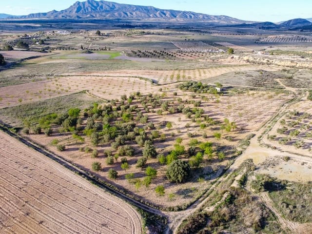 Undeveloped Land for sale in Jumilla - € 33,995 (Ref: 9688489)