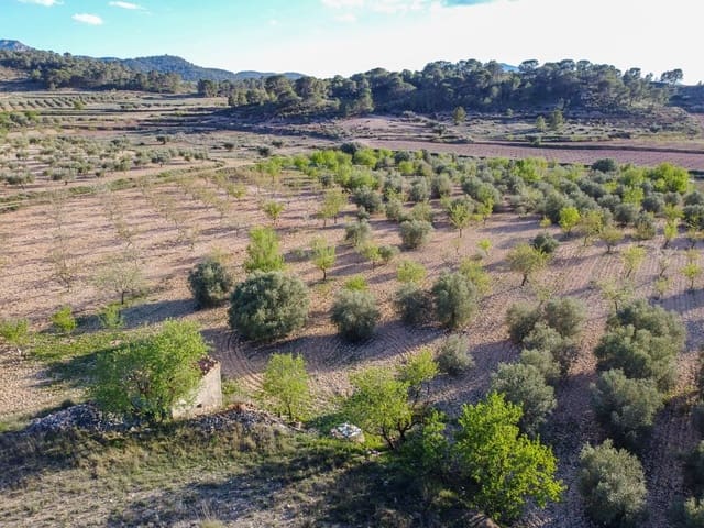 Undeveloped Land for sale in Jumilla - € 33,995 (Ref: 9688489)