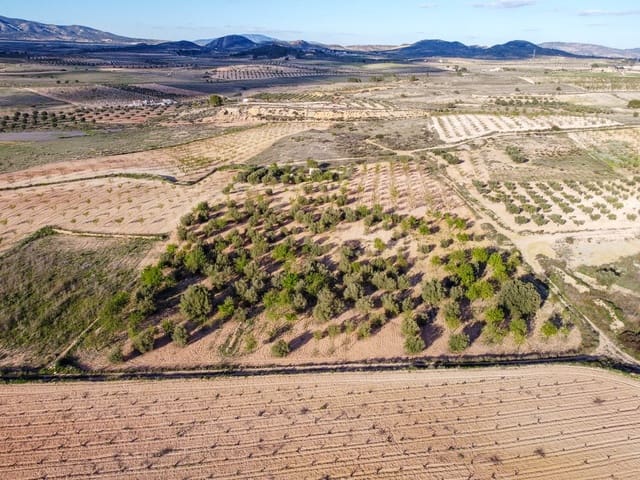 Undeveloped Land for sale in Jumilla - € 33,995 (Ref: 9688489)