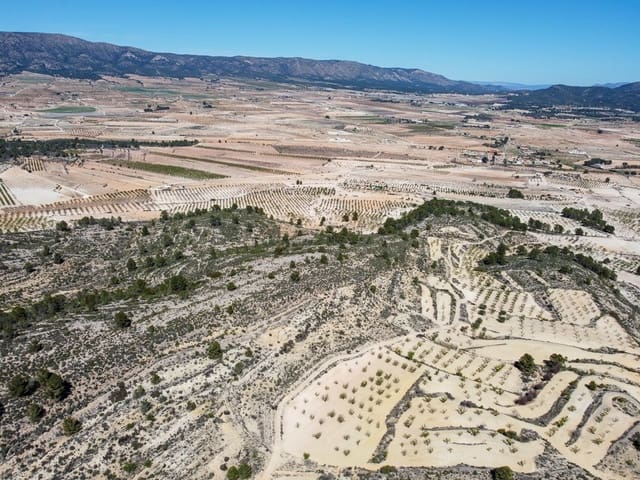 Grond te koop in Culebron, Pinoso - € 110.000 (Ref: 9688490)