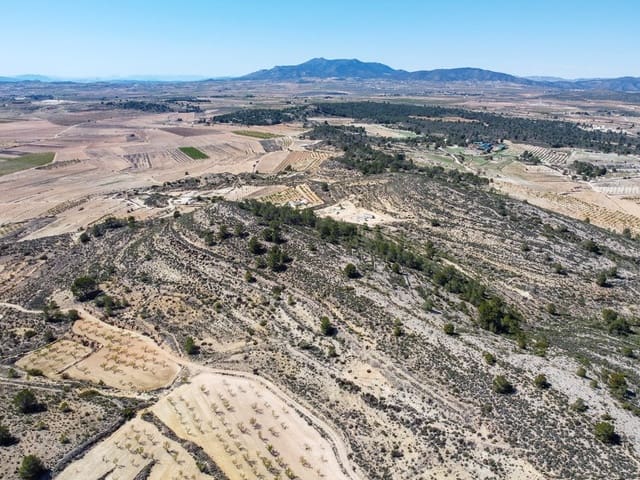 Grond te koop in Culebron, Pinoso - € 110.000 (Ref: 9688490)