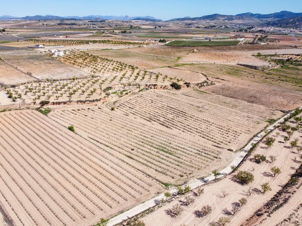 Rakentamaton maa myytävänä paikassa Pinoso - 69 950 € (Ref: 9688616)