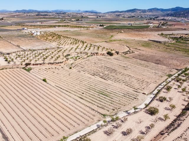 Grunde uden byggetilladelser til salg i Pinoso - € 69.950 (Ref: 9688616)