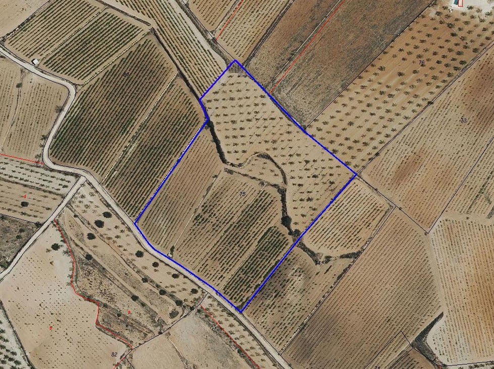 Rakentamaton maa myytävänä paikassa Pinoso - 69 950 € (Ref: 9688616)