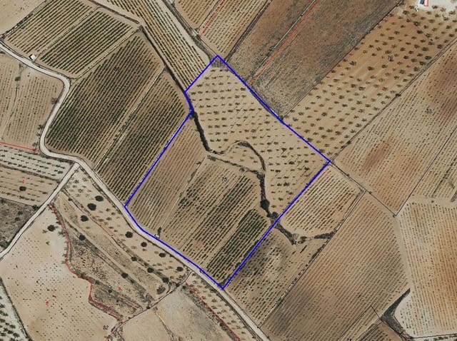 Grunde uden byggetilladelser til salg i Pinoso - € 69.950 (Ref: 9688616)