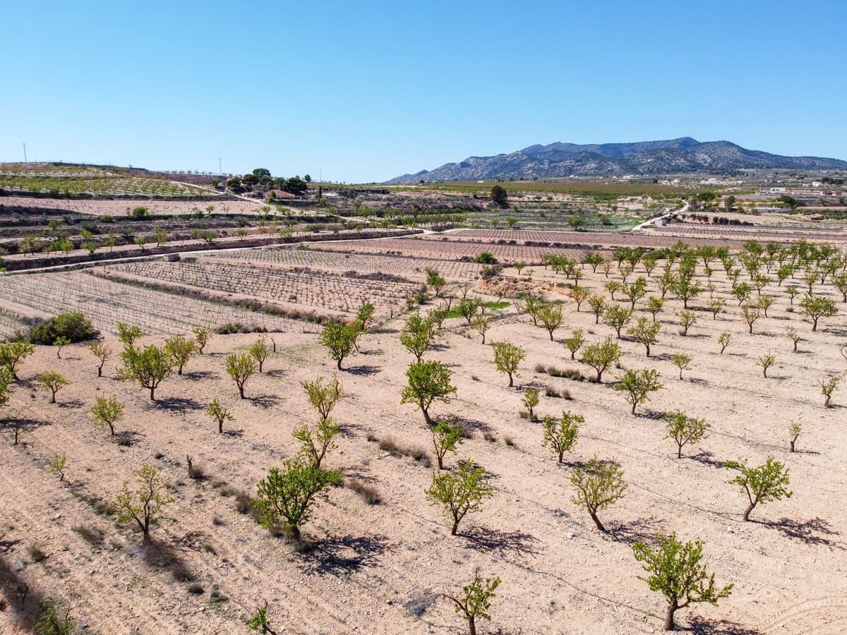 Rakentamaton maa myytävänä paikassa Pinoso - 69 950 € (Ref: 9688616)