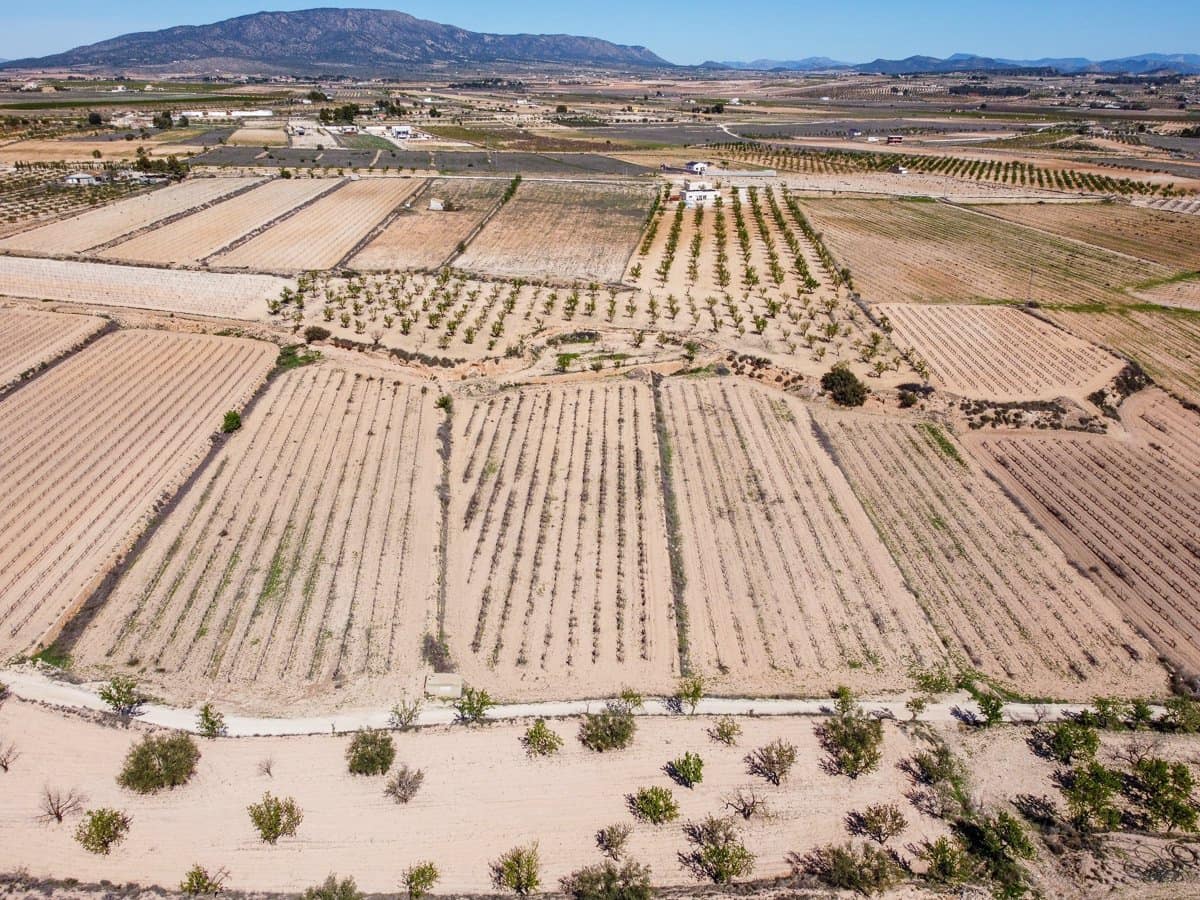 Rakentamaton maa myytävänä paikassa Pinoso - 69 950 € (Ref: 9688616)