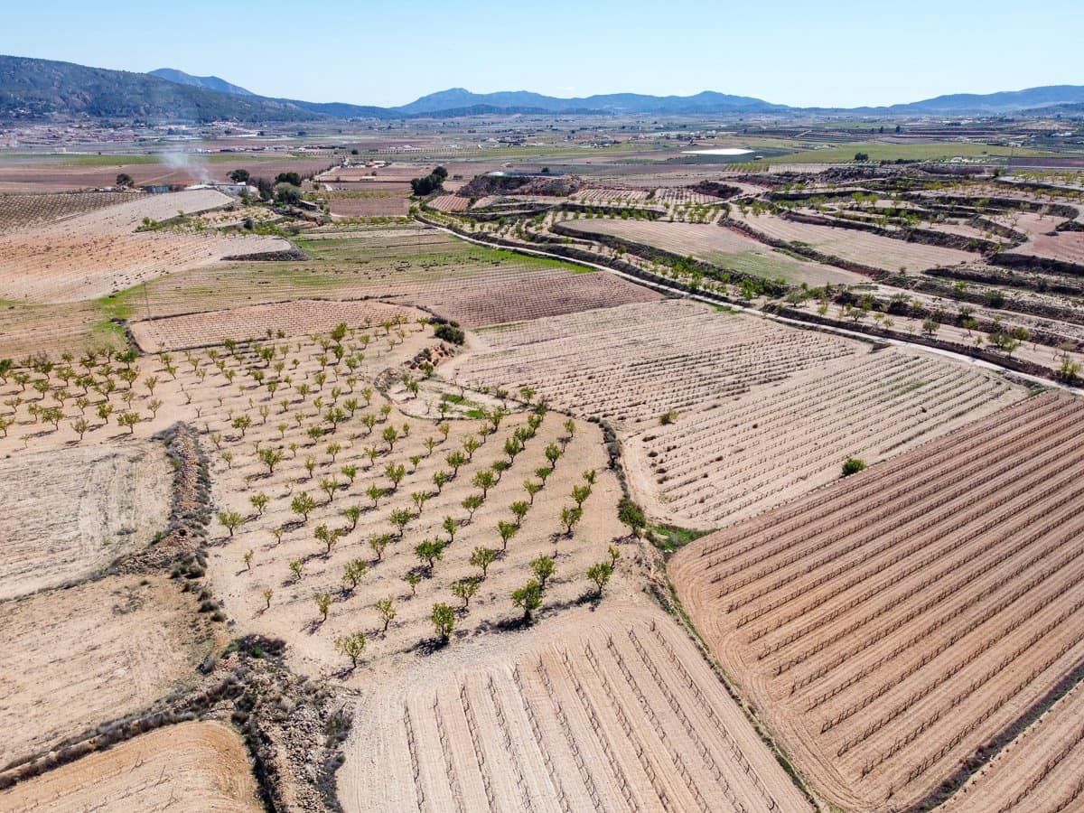 Rakentamaton maa myytävänä paikassa Pinoso - 69 950 € (Ref: 9688616)