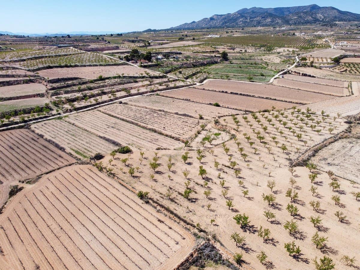 Rakentamaton maa myytävänä paikassa Pinoso - 69 950 € (Ref: 9688616)