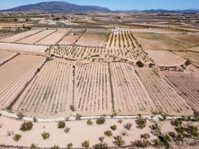 Grunde uden byggetilladelser til salg i Pinoso - € 69.950 (Ref: 9688616)