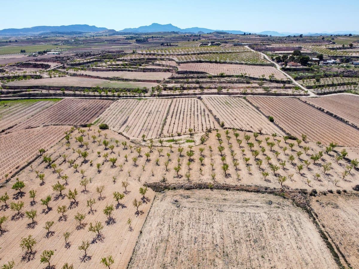 Rakentamaton maa myytävänä paikassa Pinoso - 69 950 € (Ref: 9688616)