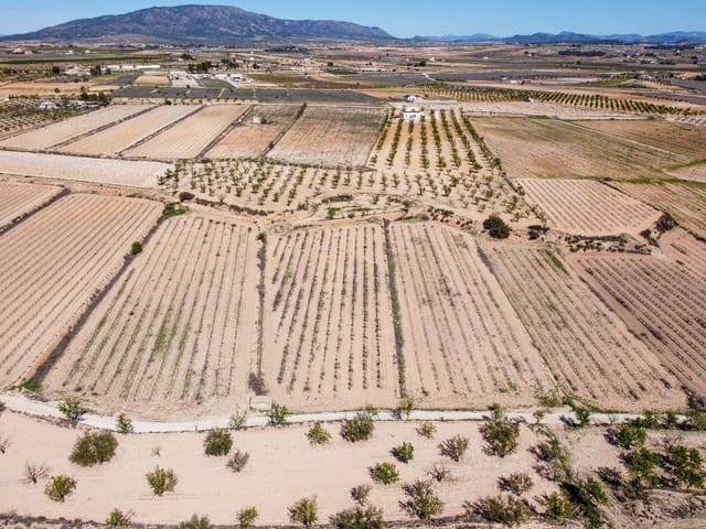 Undeveloped Land for sale in Pinoso - € 69,950 (Ref: 9688616)