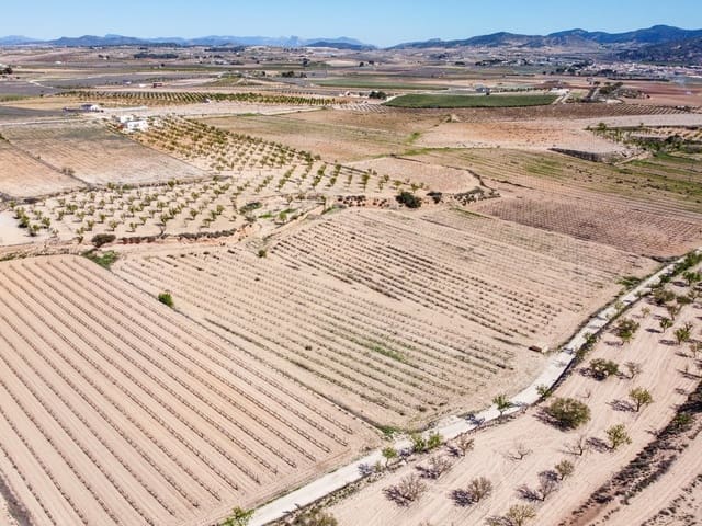 Undeveloped Land for sale in Pinoso - € 69,950 (Ref: 9688616)