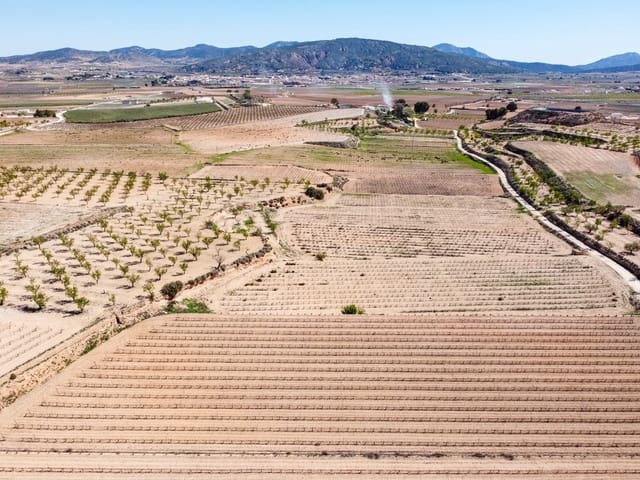 Undeveloped Land for sale in Pinoso - € 69,950 (Ref: 9688616)