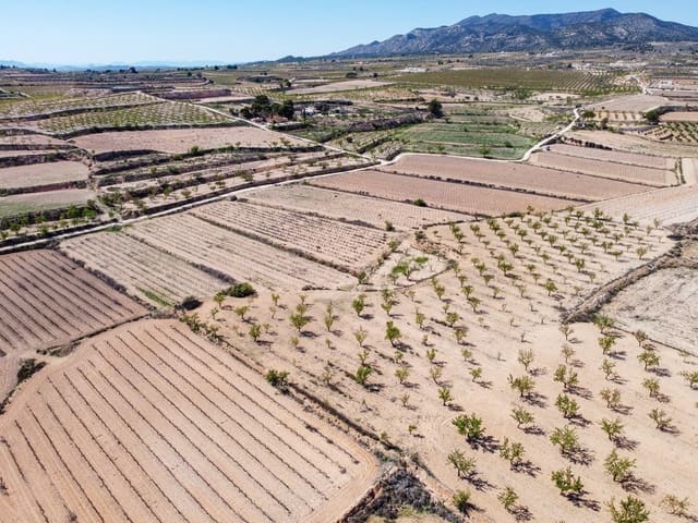 Undeveloped Land for sale in Pinoso - € 69,950 (Ref: 9688616)