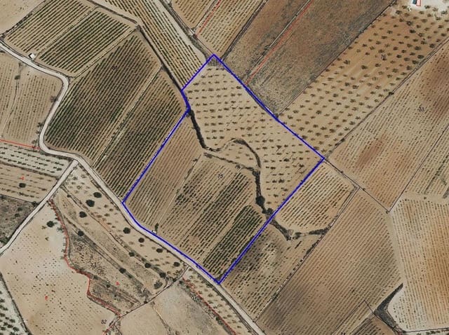 Undeveloped Land for sale in Pinoso - € 69,950 (Ref: 9688616)