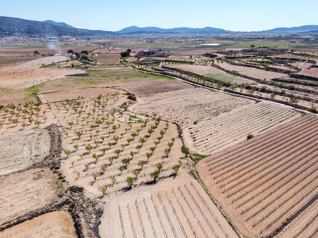 Undeveloped Land for sale in Pinoso - € 69,950 (Ref: 9688616)