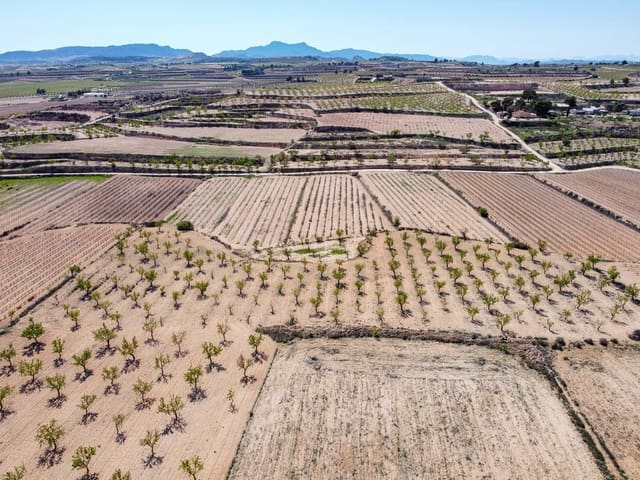 Undeveloped Land for sale in Pinoso - € 69,950 (Ref: 9688616)