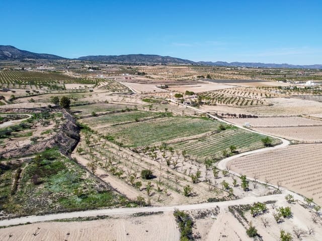 Undeveloped Land for sale in Pinoso - € 59,950 (Ref: 9688617)