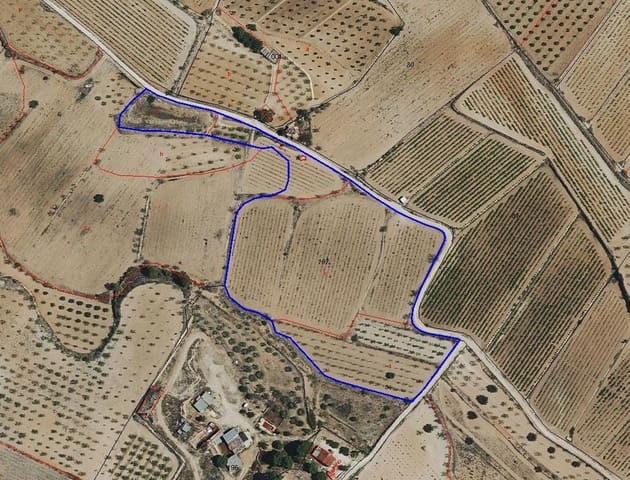 Undeveloped Land for sale in Pinoso - € 59,950 (Ref: 9688617)