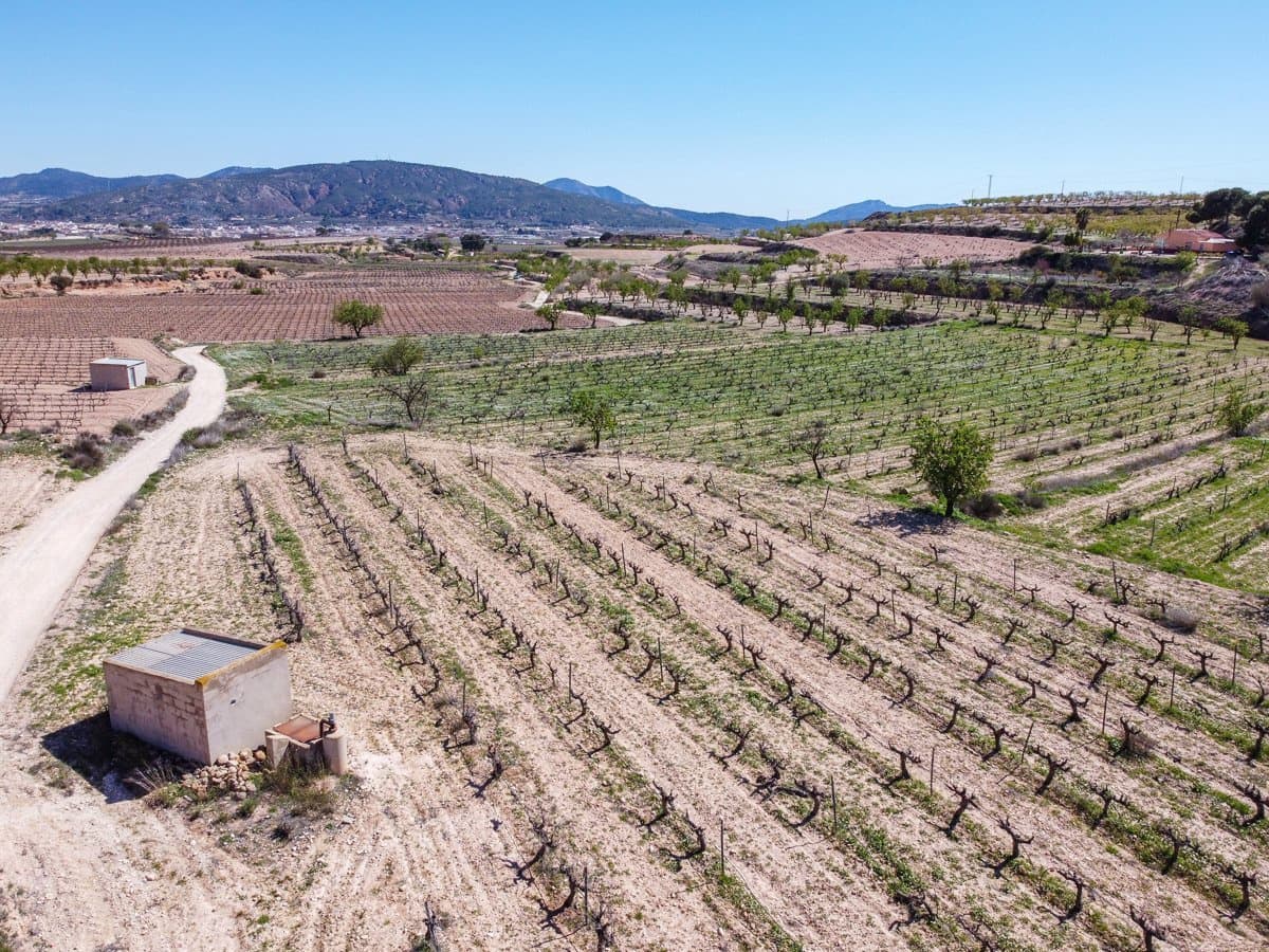 Undeveloped Land for sale in Pinoso - € 59,950 (Ref: 9688617)