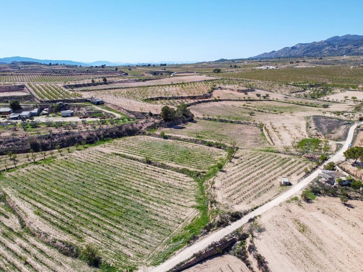 Undeveloped Land for sale in Pinoso - € 59,950 (Ref: 9688617)