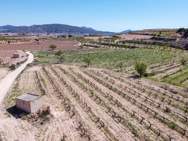 Undeveloped Land for sale in Pinoso - € 59,950 (Ref: 9688617)