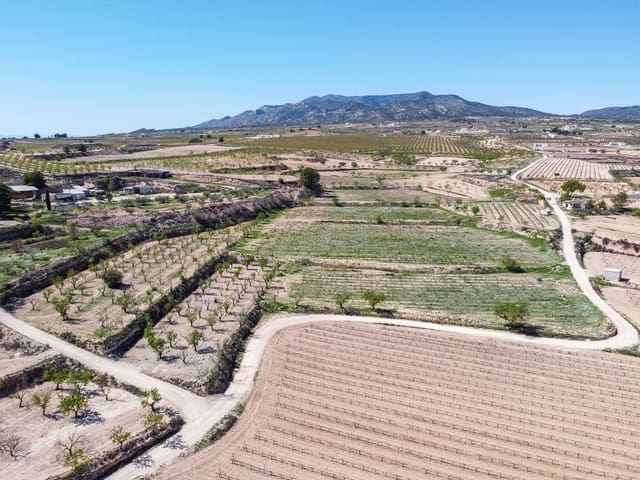 Undeveloped Land for sale in Pinoso - € 59,950 (Ref: 9688617)