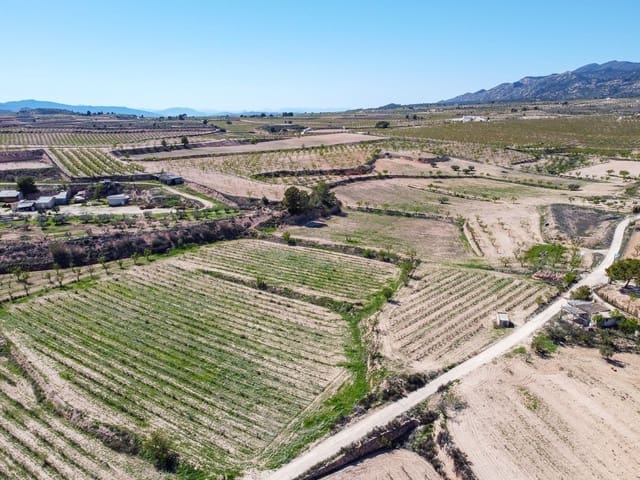 Undeveloped Land for sale in Pinoso - € 59,950 (Ref: 9688617)