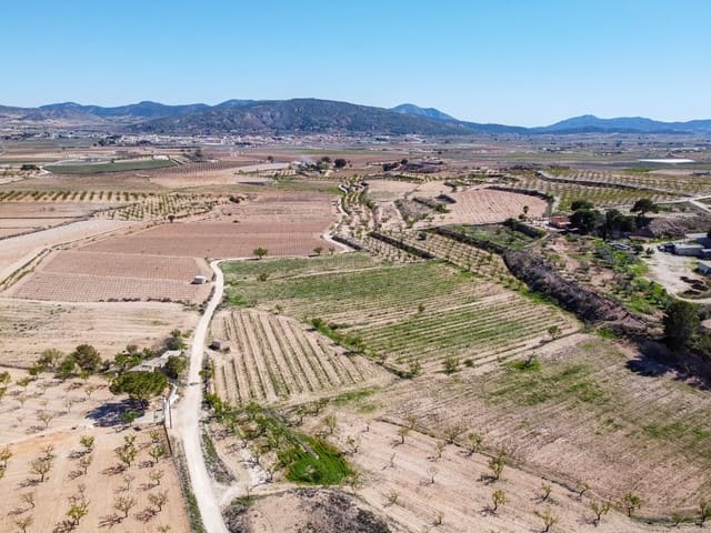 Undeveloped Land for sale in Pinoso - € 59,950 (Ref: 9688617)