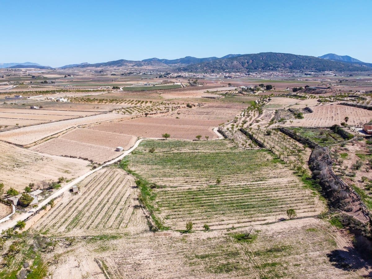 Undeveloped Land for sale in Pinoso - € 59,950 (Ref: 9688617)