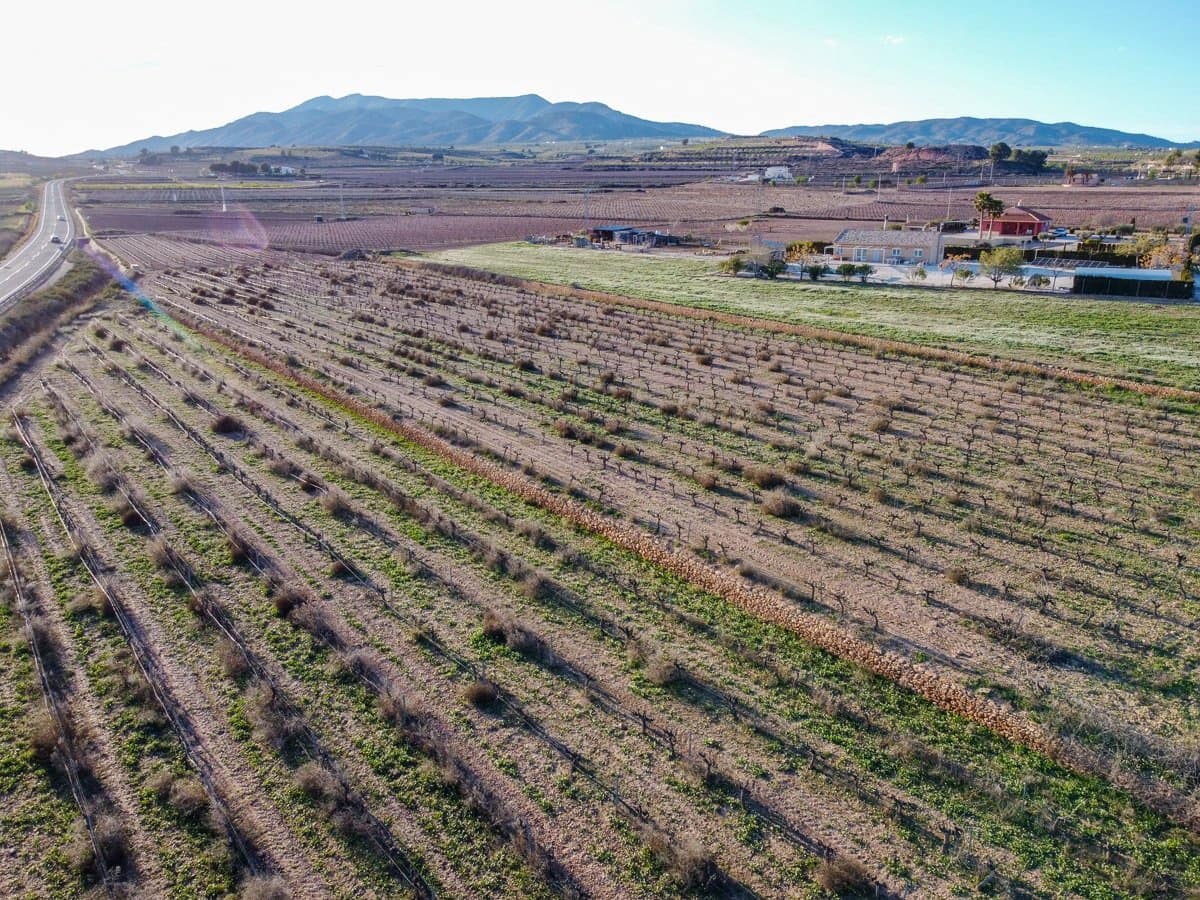 Grond te koop in Pinoso - € 45.000 (Ref: 9688618)